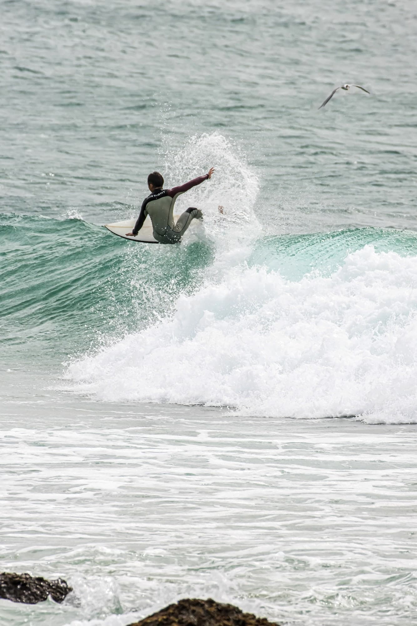 Surf — 14