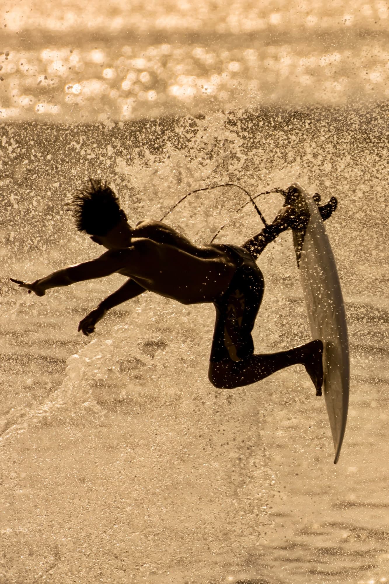 Surf — 18